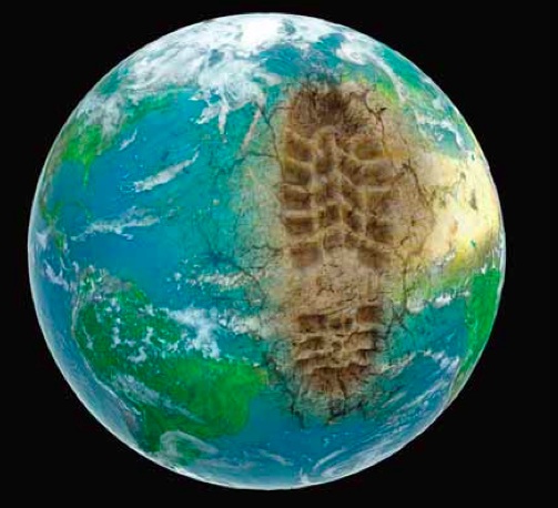 Sizing up your carbon footprint