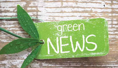 What you need to know