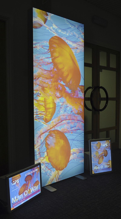 APS widens soft signage fabrics range