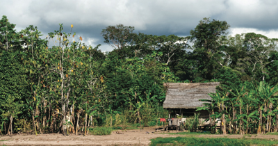 Aware of Reforest’Action