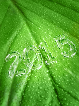 2015: time to turn over a new leaf