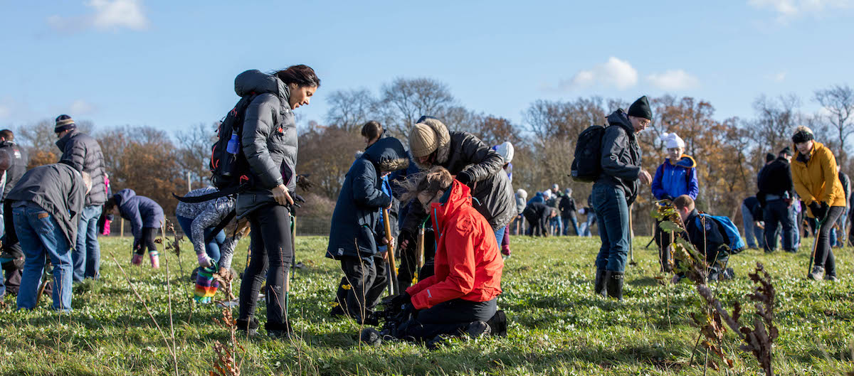 Premier Paper helps plant 3,000 trees at Heartwood Forest
