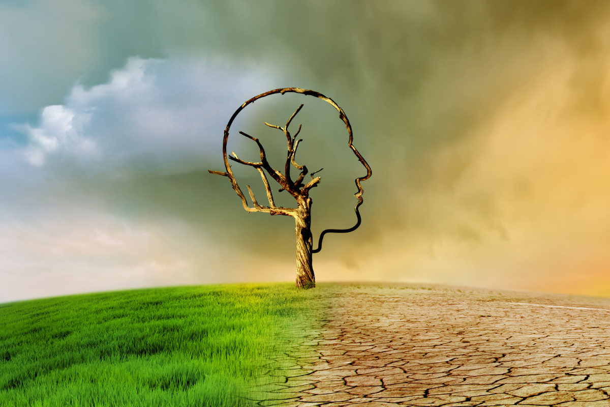 Climate change required?