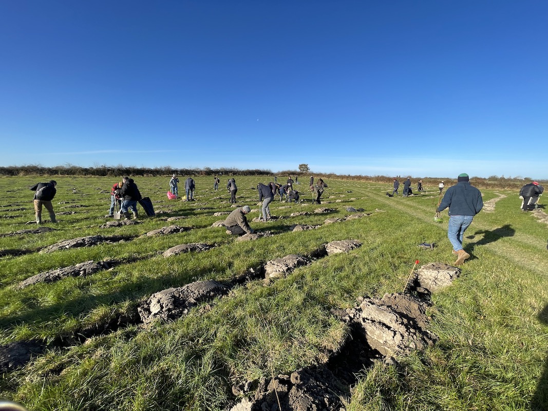 Premier plants 4,000 saplings with the Woodland Trust