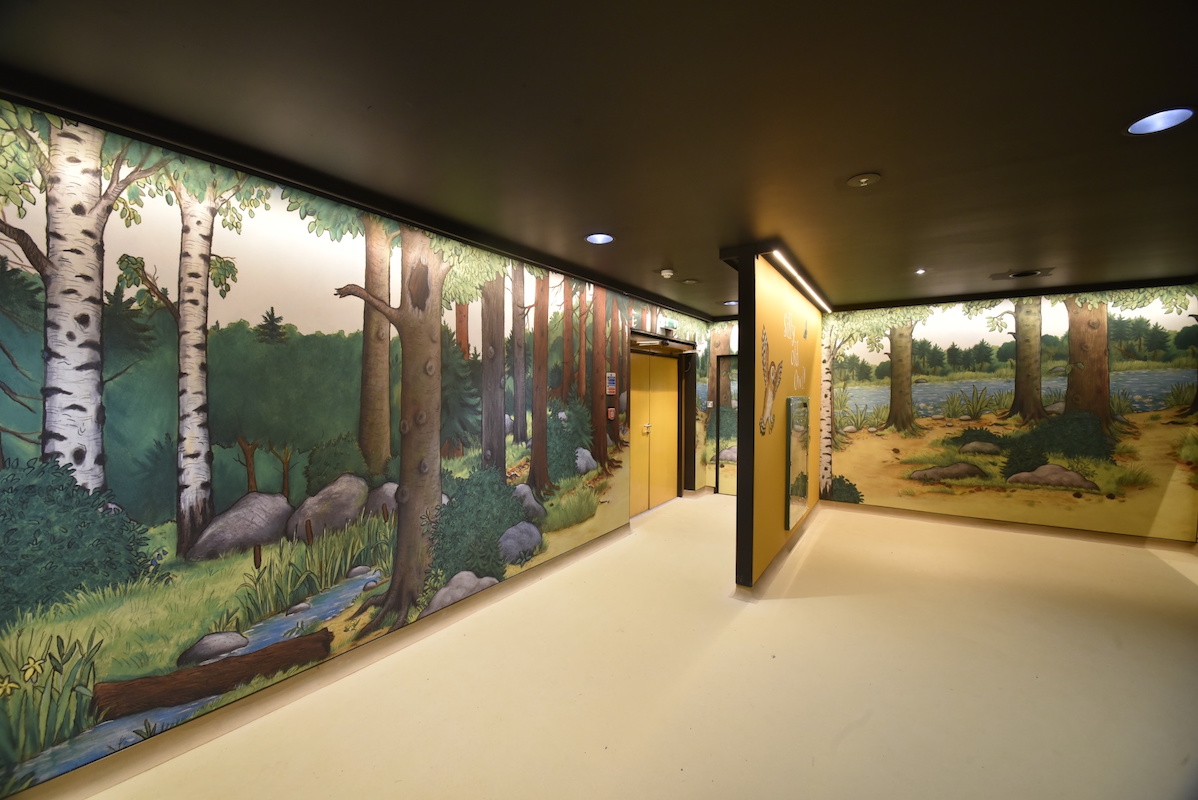 MacroArt’s produces Gruffalo Discovery Land graphics