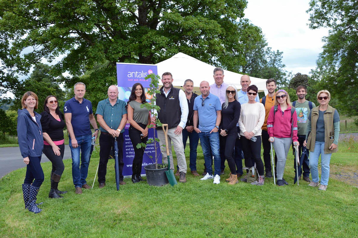 Antalis plants trees in carbon offsetting move