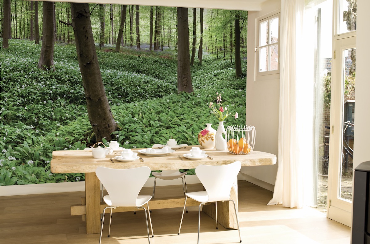 Antalis adds repositionable wallcovering to Coala range