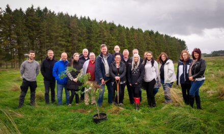 Antalis boosts its carbon offsetting programme