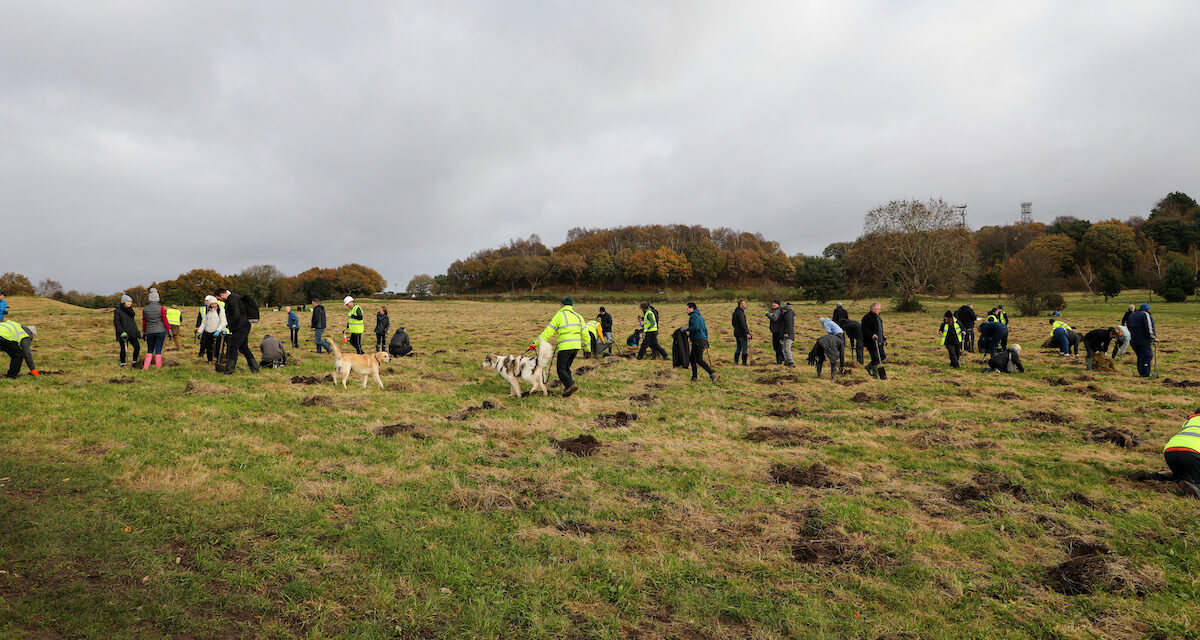 Premier and customers plant 3000 trees