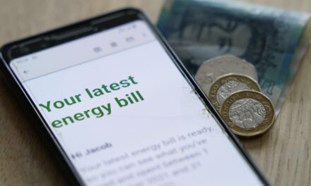 FSB urges Ofgem to act on energy standing charges
