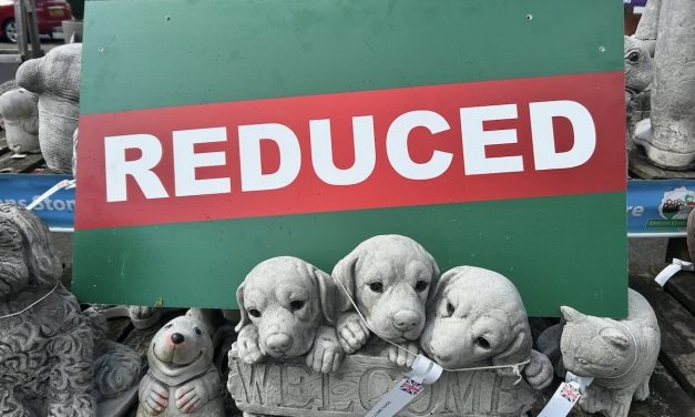 Case study from Antalis