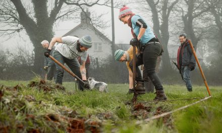 Branching out together