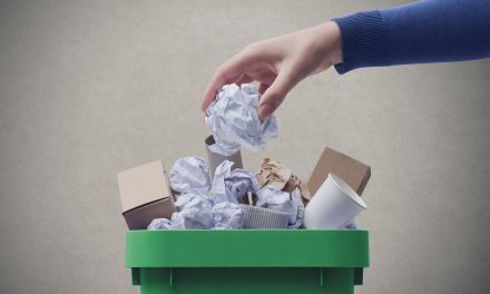 Pushing back against paper greenwashing