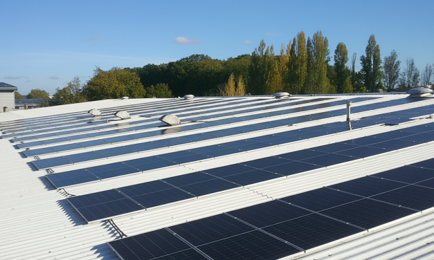 Papergraphics invests £1 million towards sustainability