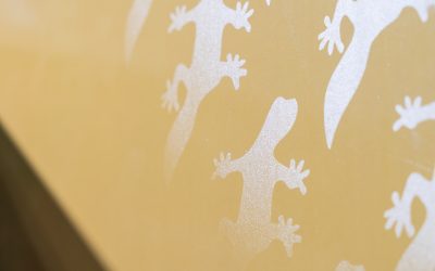 Barberan and Fujifilm showcases ‘industry-first’ fully digital single-pass UV solution