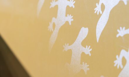 Barberan and Fujifilm showcases ‘industry-first’ fully digital single-pass UV solution