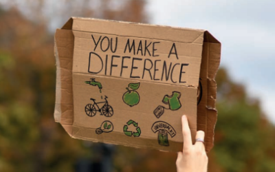 Meeting clients demand for eco credentials